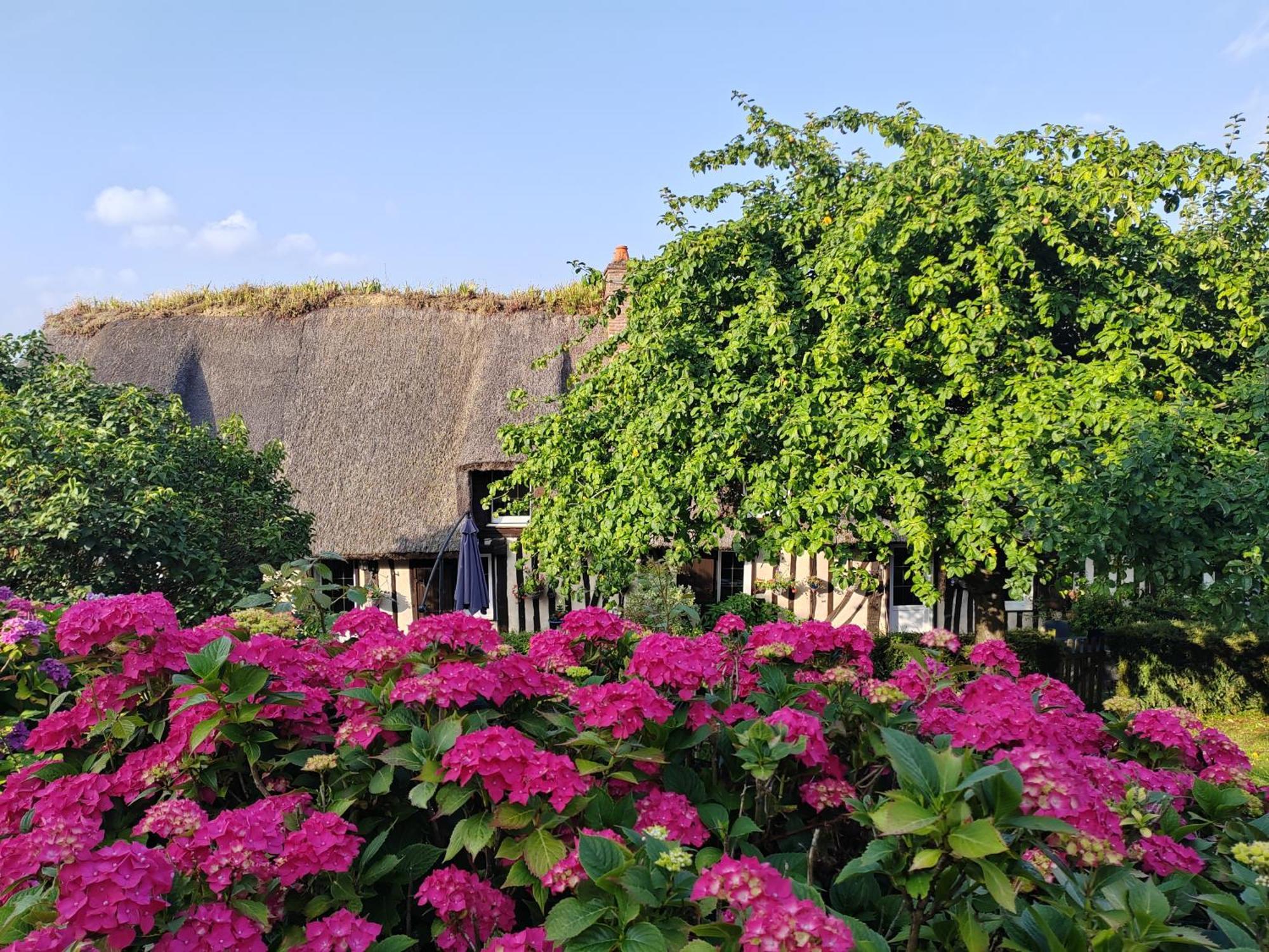 La Maraiquaise Marais-Vernier Exterior foto